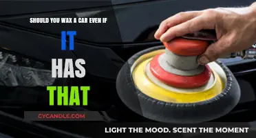 The Waxing Dilemma: To Wax or Not to Wax Your Car?