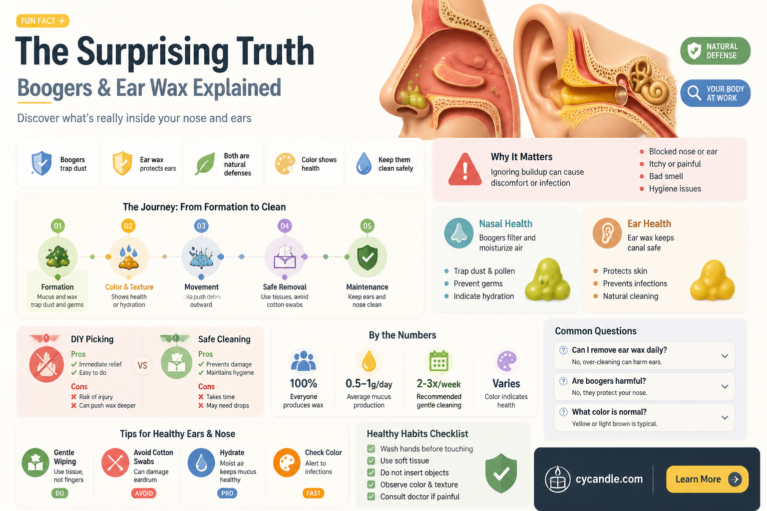 are boogers and ear wax the same