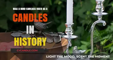 Historical Bird Carcass Candles: Fact or Fiction?