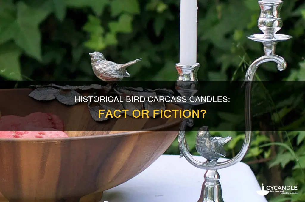 was a bird carcass used as a candles in history