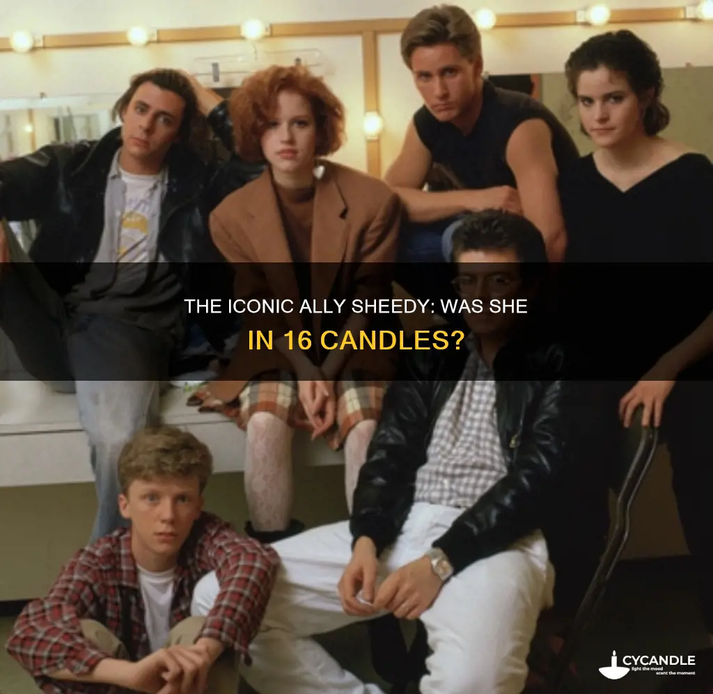 was ally sheedy in 16 candles