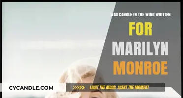 The True Inspiration Behind Candle in the Wind
