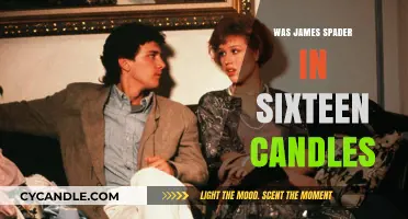 James Spader's Sixteen Candles Cameo: A Blast from the Past