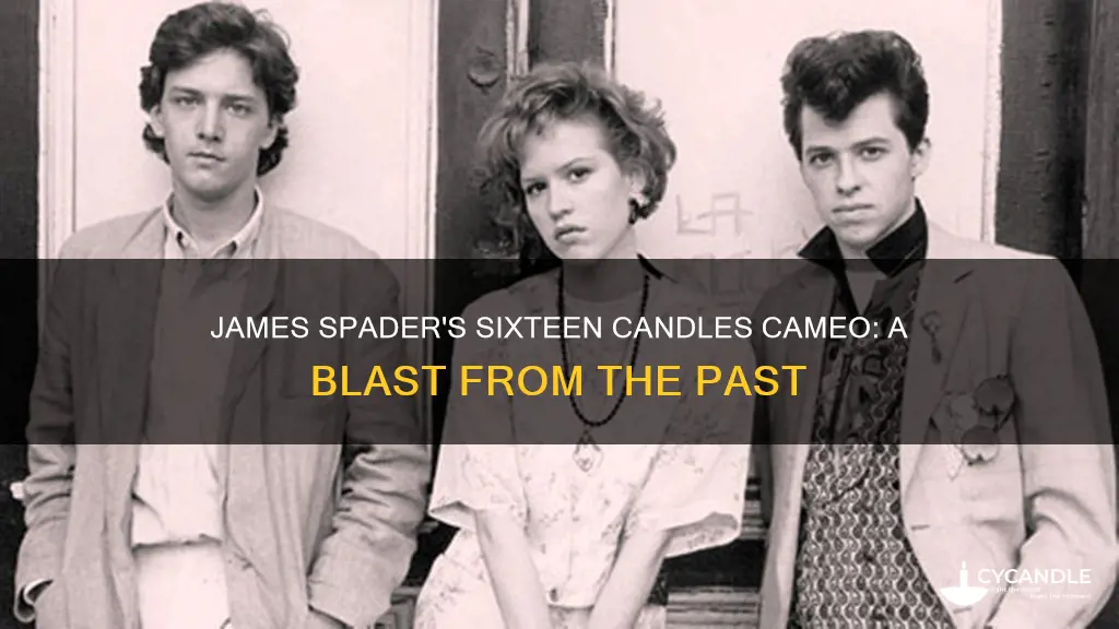 was james spader in sixteen candles