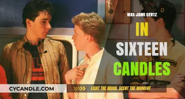 Jami Gertz's Sixteen Candles Role: A Memorable Performance