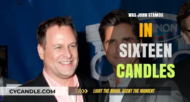 John Stamos' Sixteen Candles: Fact or Fiction?
