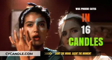 The Iconic Presence of Phoebe Cates in 16 Candles