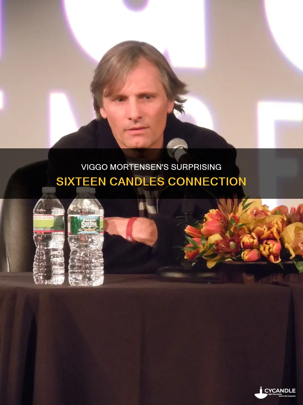 was viggo mortensen in sixteen candles