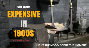 The High Cost of Candlelight in the 1800s