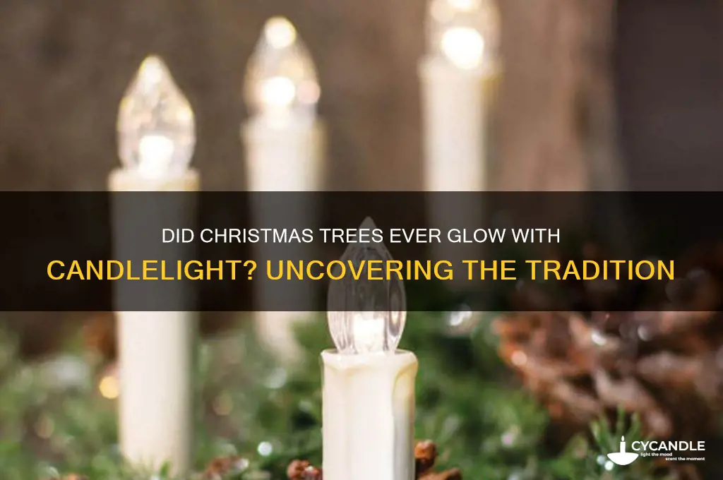 were candles used on christmas trees
