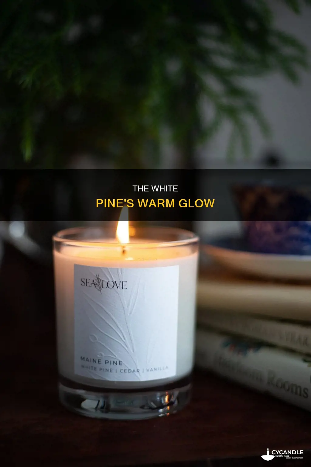 what a candle on a white pine