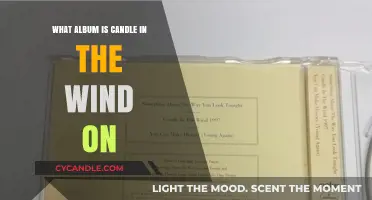 Elton John's Candle in the Wind Album