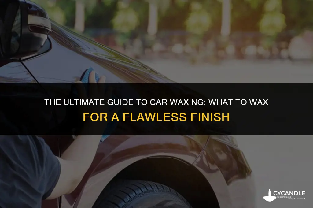 what all to wax when waxing a car