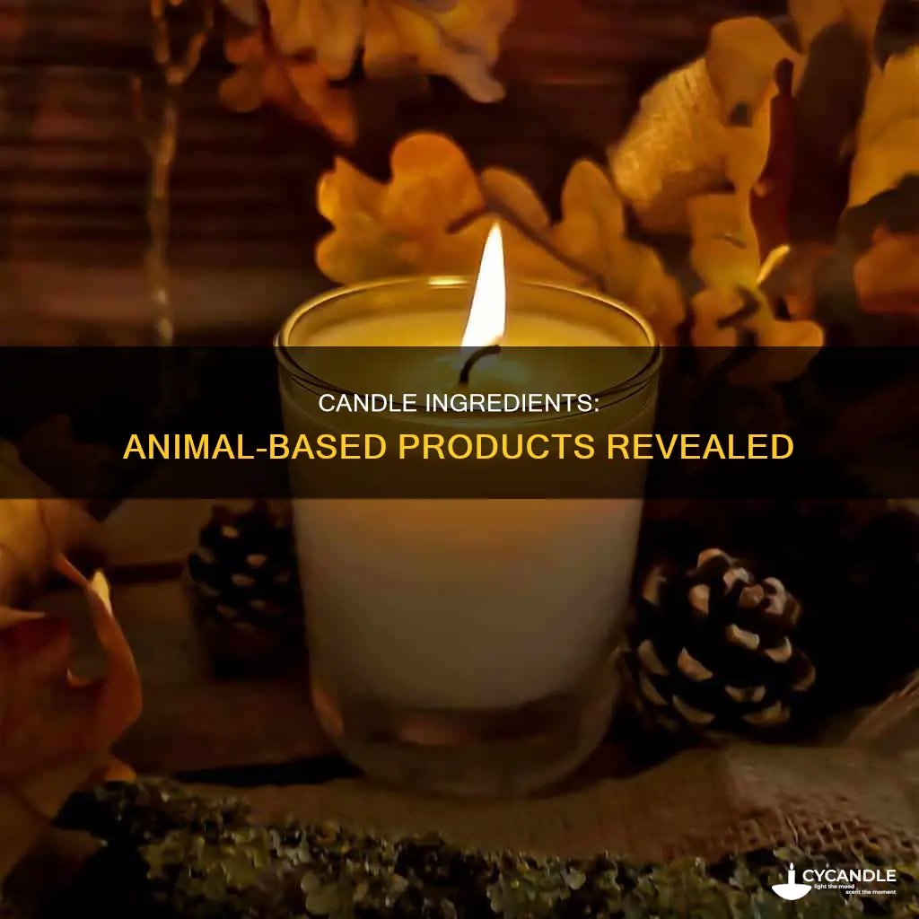 what animal products are in candles