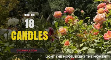Candlelight Traditions for 18th Birthday Celebrations