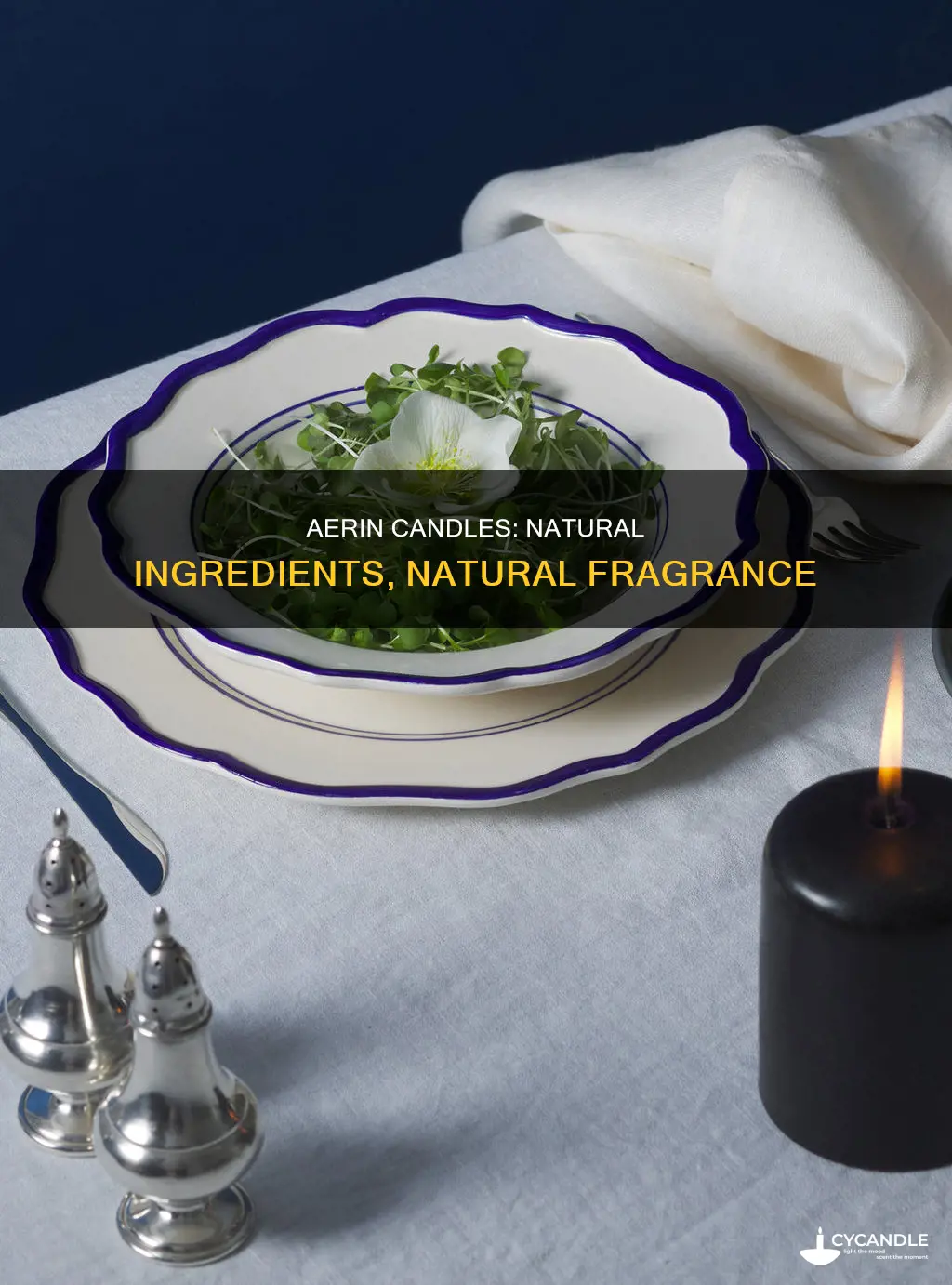 what are aerin candles made of