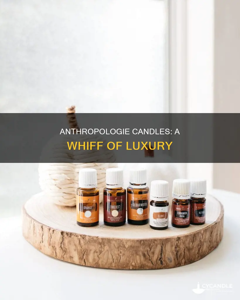 what are anthropologie candles