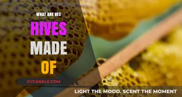 Exploring the Natural Materials Used to Construct Bee Hives