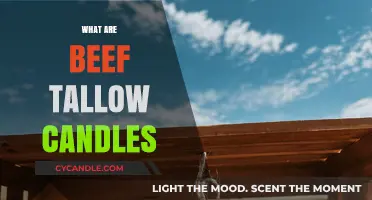 Beef Tallow Candles: A Natural, Long-Lasting Light Source
