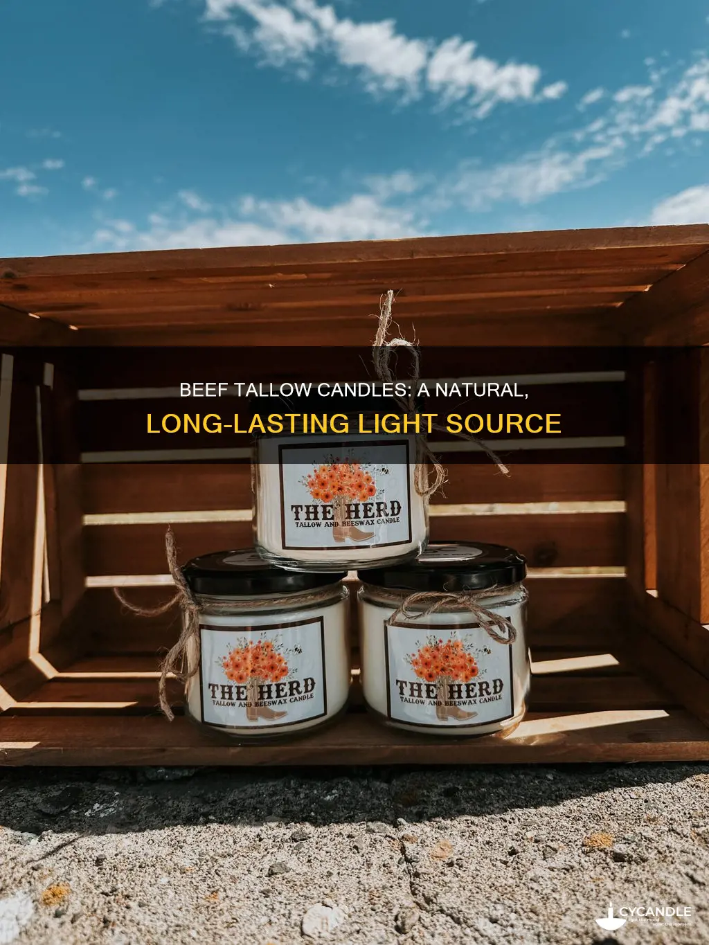what are beef tallow candles