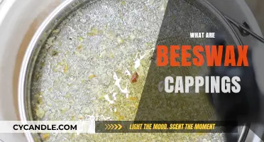 Understanding Beeswax Cappings: Uses, Benefits, and Harvesting Process