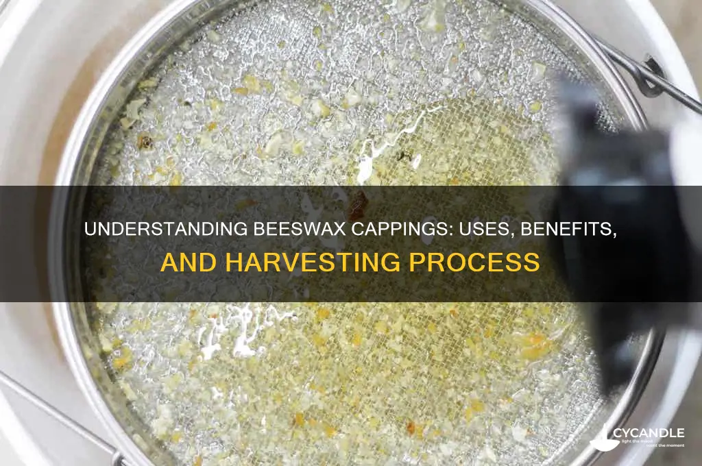 what are beeswax cappings