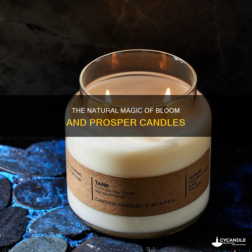 what are bloom and prosper candles made of