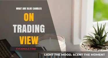 Understanding Blue Candles: Trading View's Unique Feature