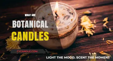 Explore the Natural Beauty of Botanical Candles