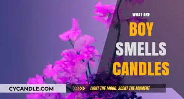 Boy Smells Candles: A Gender-Neutral Fragrance Experience