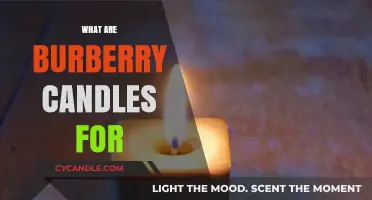Burberry Candles: What's the Scent For?