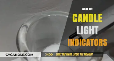 Understanding Candle Light Indicators: A Beginner's Guide to Trading Signals