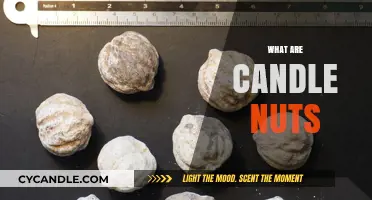 Candle Nuts: Their Unique Uses and Benefits