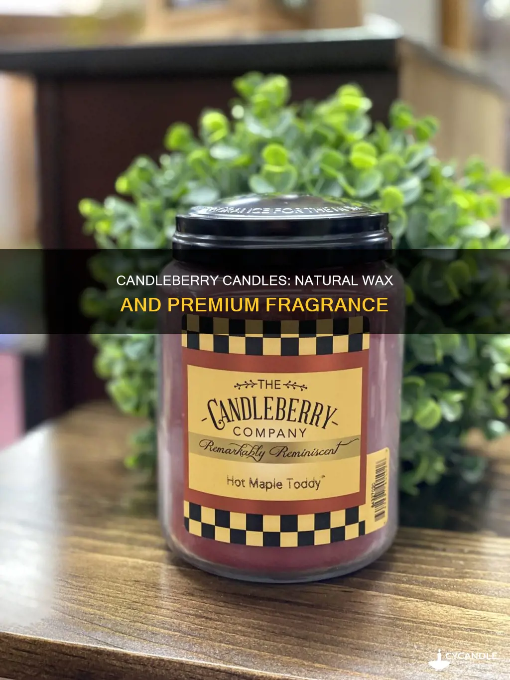 what are candleberry candles made from
