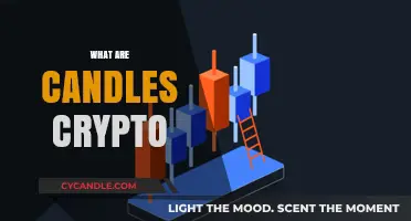 Candlesticks Crypto Trading: What Are Candles?