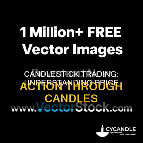 what are candles in trading