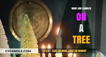 Candlelit Trees: A Festive Tradition Explained