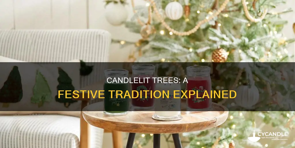 what are candles on a tree