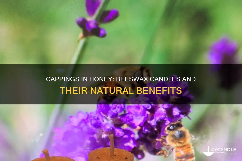 what are cappings in honey do they make beeswax candles