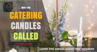 The Warm Glow of Catering Candles: What Are They Called?