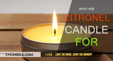 Citronella Candles: Natural Insect Repellent for Your Home