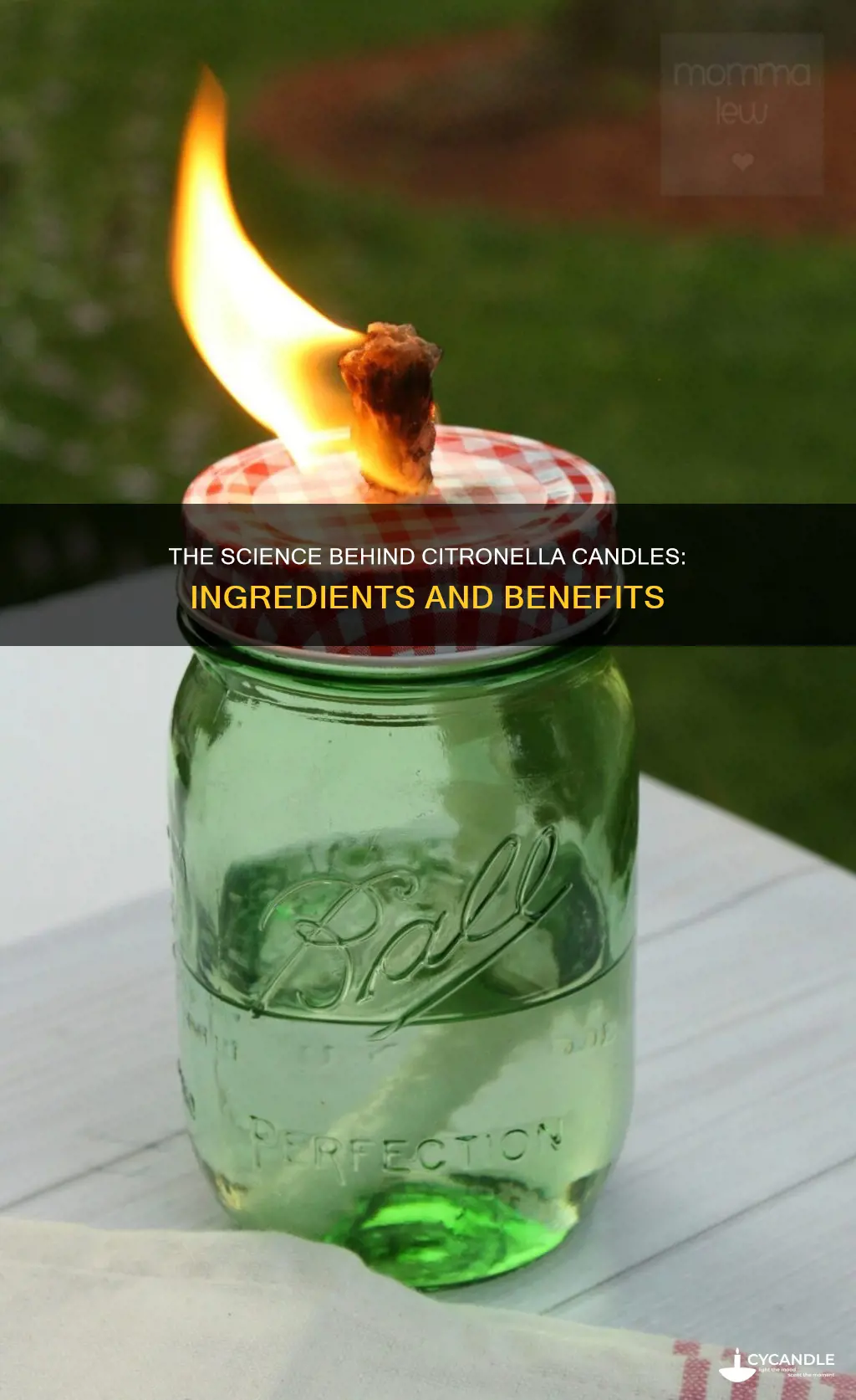 what are citronella candles made of