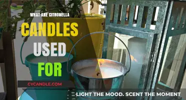 Citronella Candles: Uses, Benefits, and Pest Repellent Properties Explained