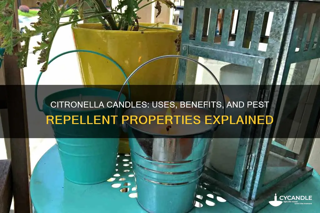 what are citronella candles used for