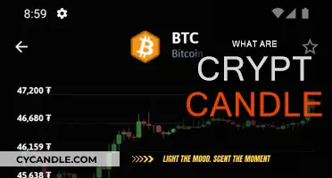 Understanding Crypto Candlesticks: A Beginner's Guide
