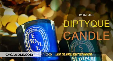 Diptyque Candles: Luxurious, Long-Lasting, and Highly Scented