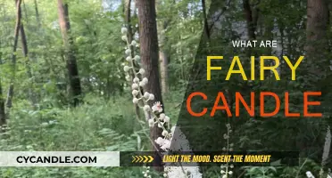 Mystical Fairy Candles: Nature's Magical Lights