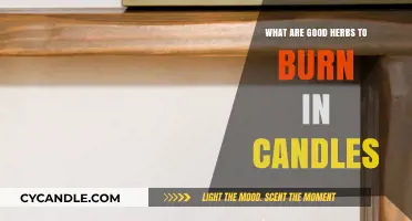 Aromatic Herbs to Burn in Candles for Relaxation and Wellness