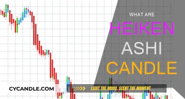 Heiken Ashi Candles: Understanding the Unique Japanese Charting Style