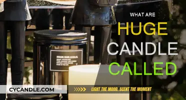 The Intriguing World of Giant Candles: What Are They Called?